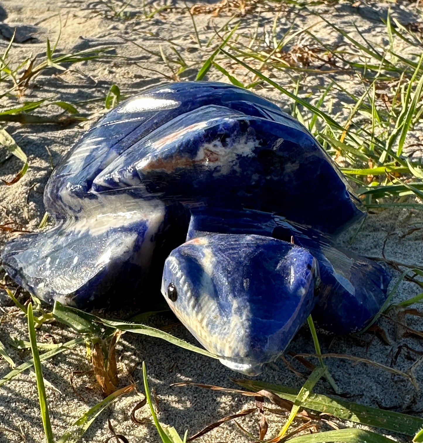 Sodalite Turtle XXL