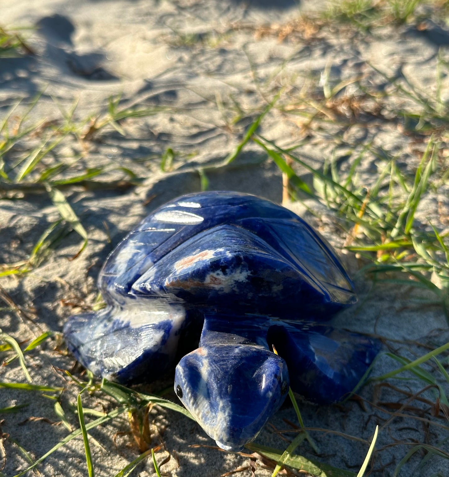 Sodalite Turtle XXL