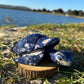 Sodalite Turtle XXL