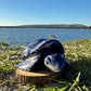 Sodalite Turtle XXL