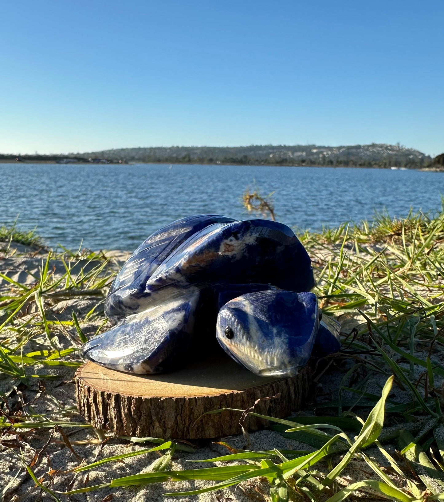 Sodalite Turtle XXL