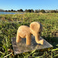 Calcite Elephants