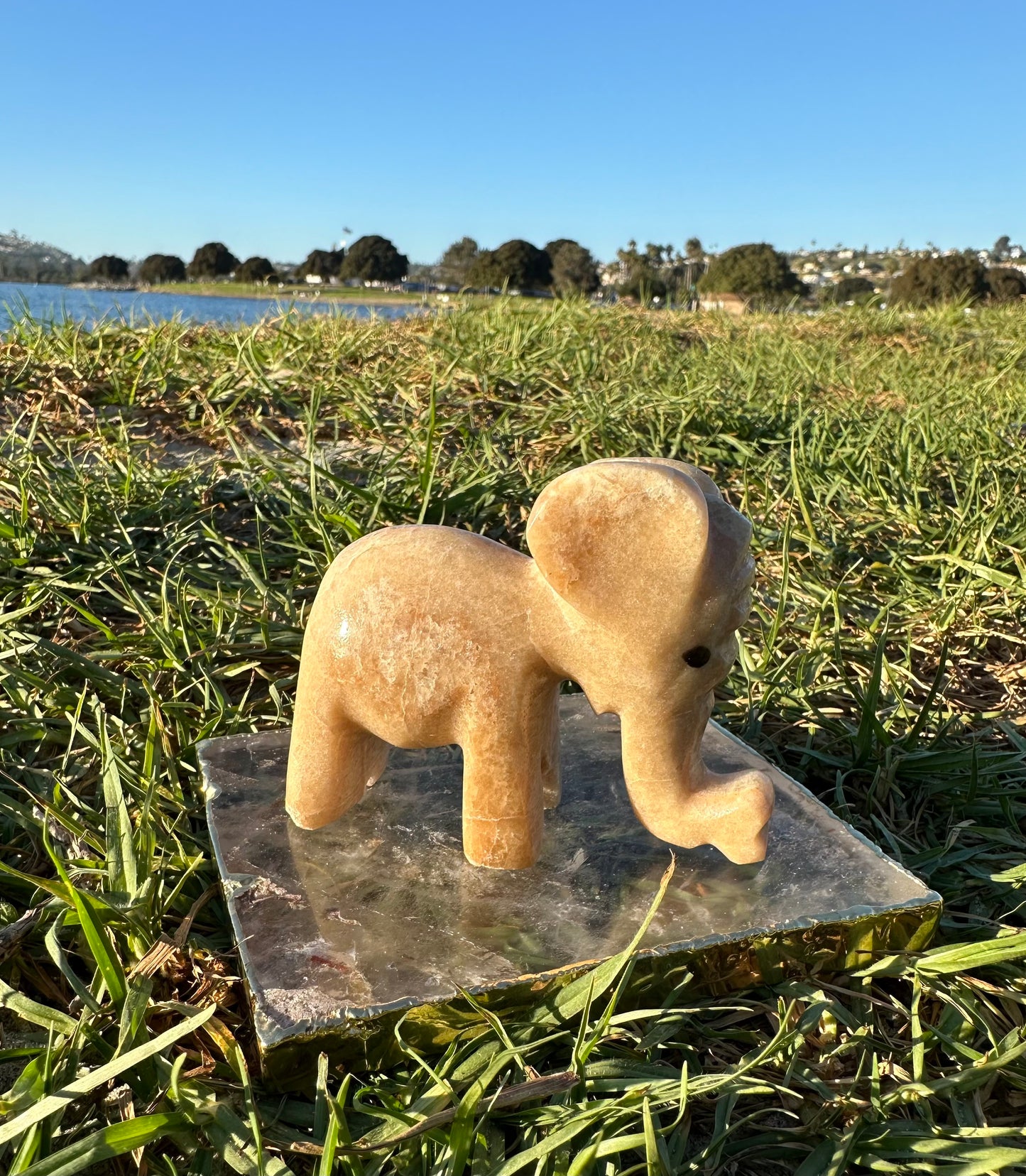 Calcite Elephants