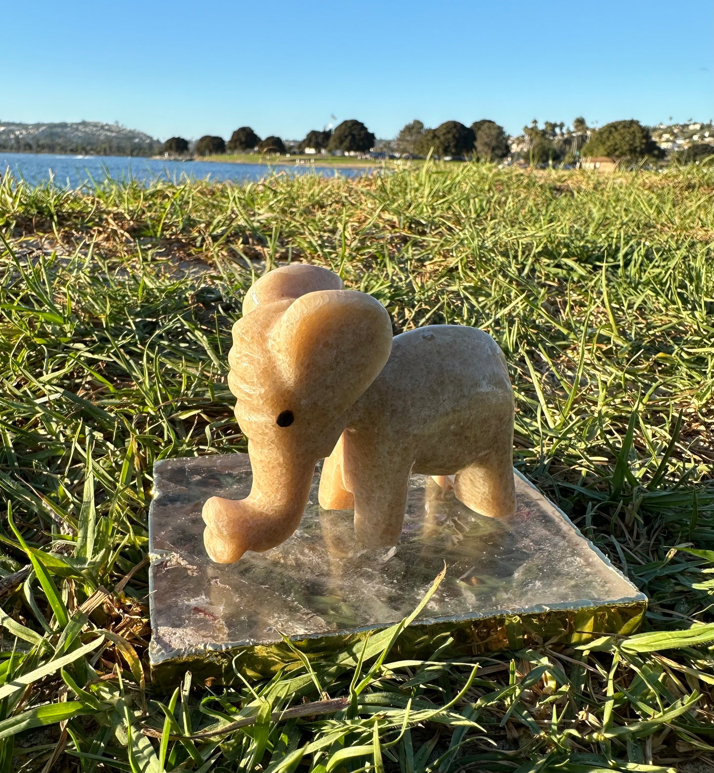 Calcite Elephants