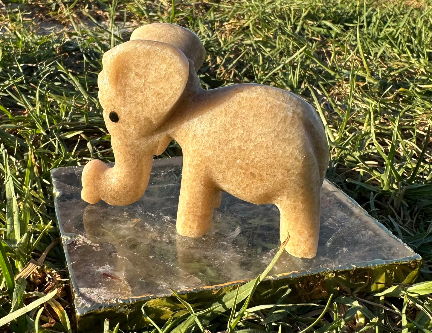 Calcite Elephants