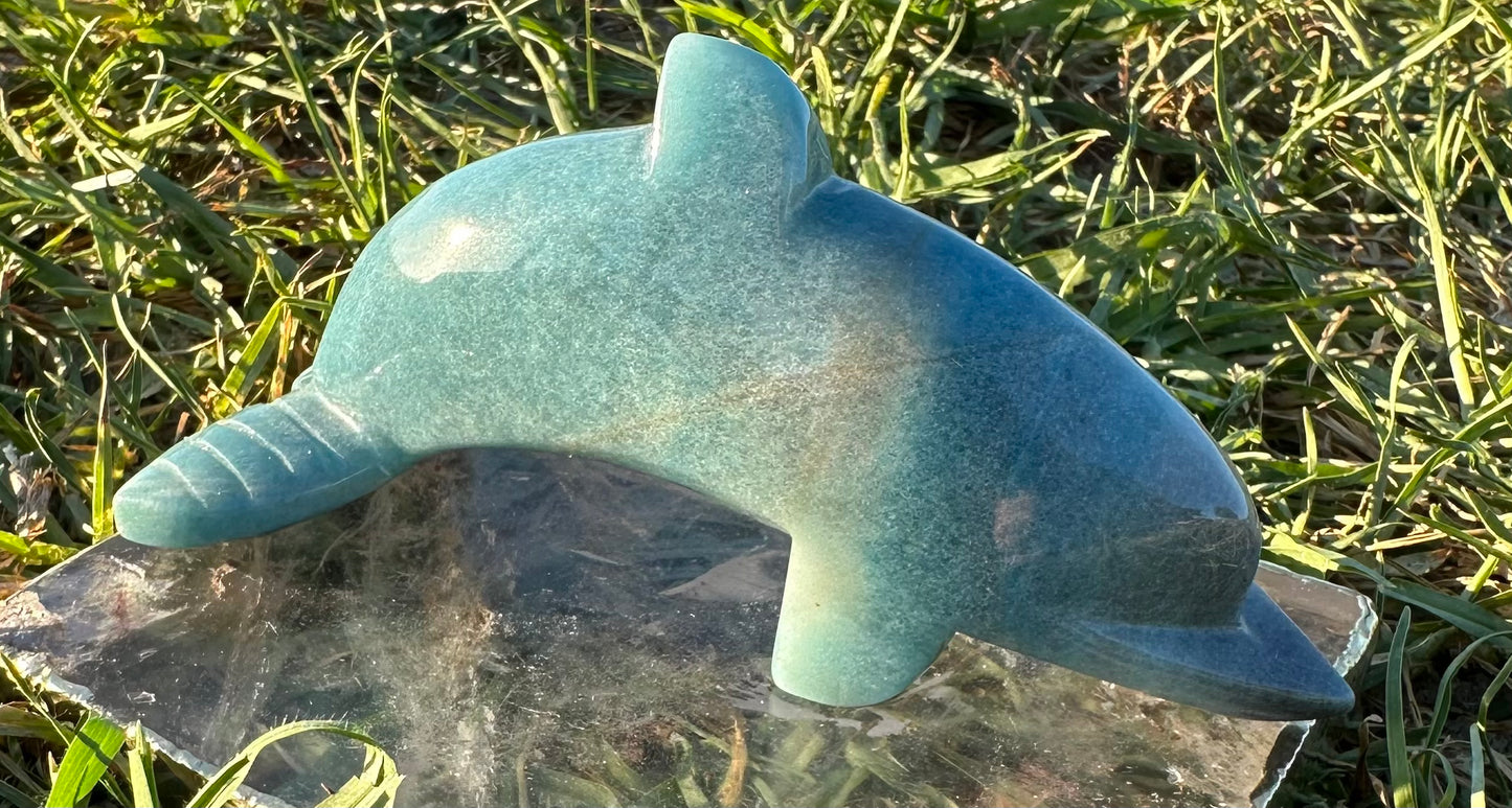 Trolleite Dolphin (Rare)