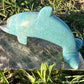 Trolleite Dolphin (Rare)