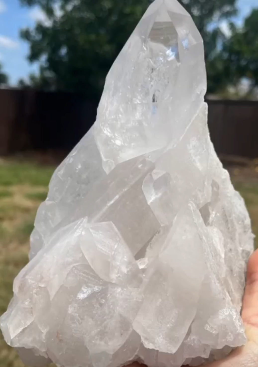 AAA Lemurian Quartz