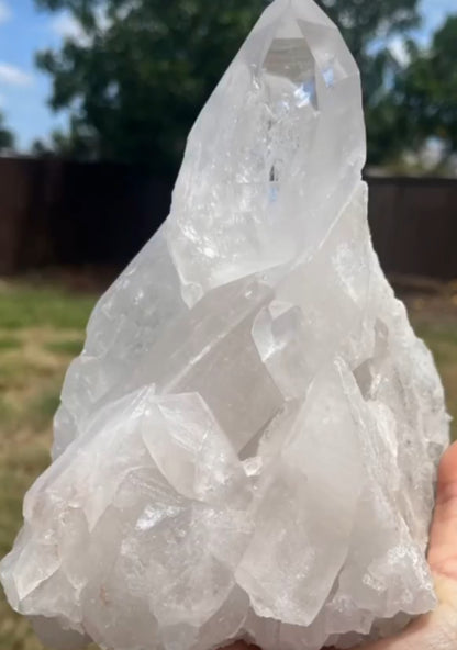 AAA Lemurian Quartz