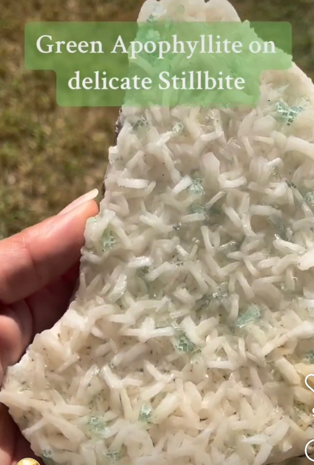 Green Apophyllite on Stilbite