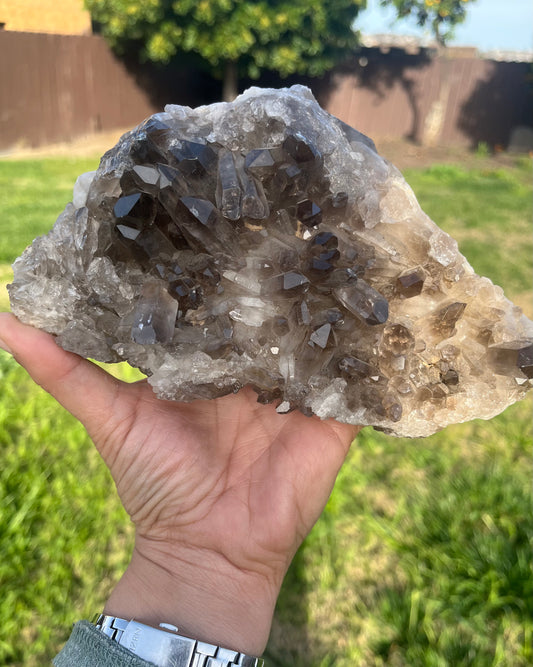 Unbelievable Smoky Quartz Cluster