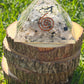 Orgone Pyramid Rainbow Moonstone  with Tree of Life