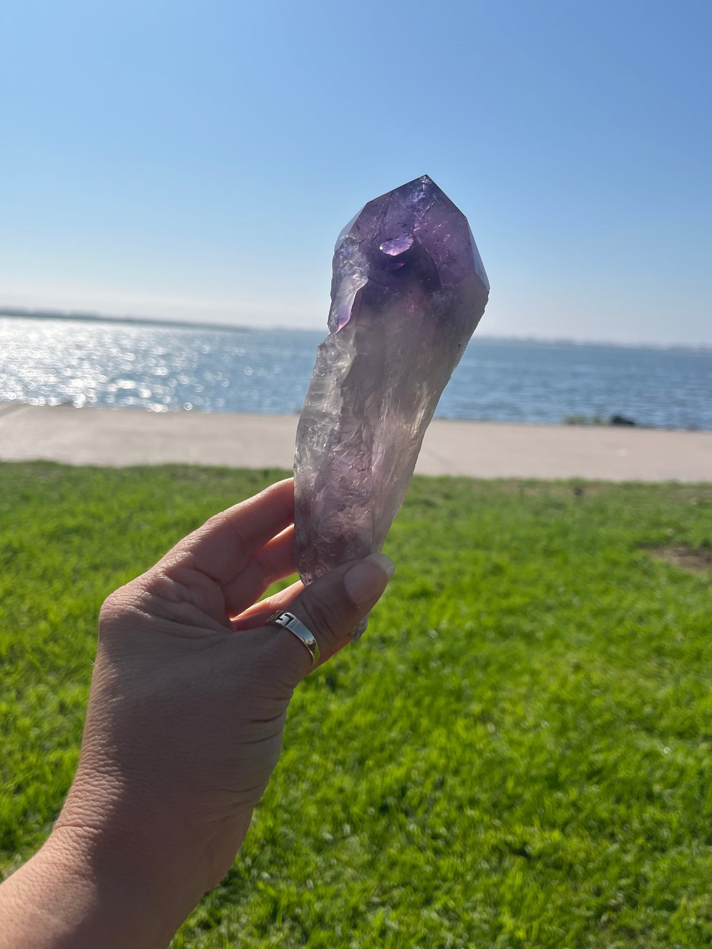 Amethyst Stem from Bahia with Phantom Inclusions