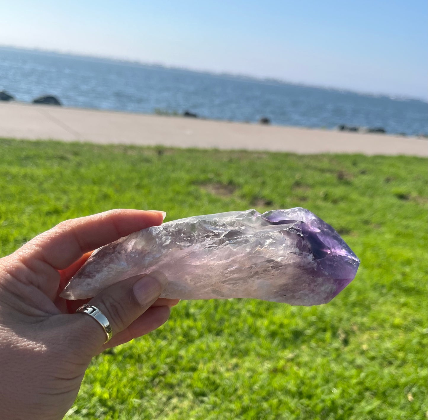 Amethyst Stem from Bahia with Phantom Inclusions