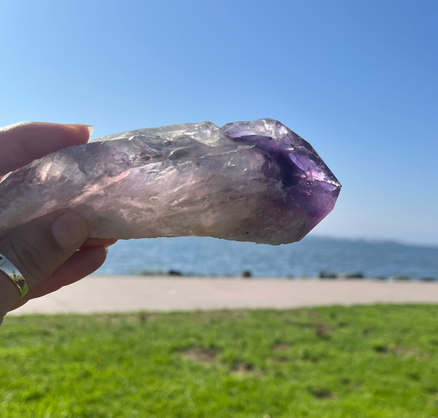 Amethyst Stem from Bahia with Phantom Inclusions