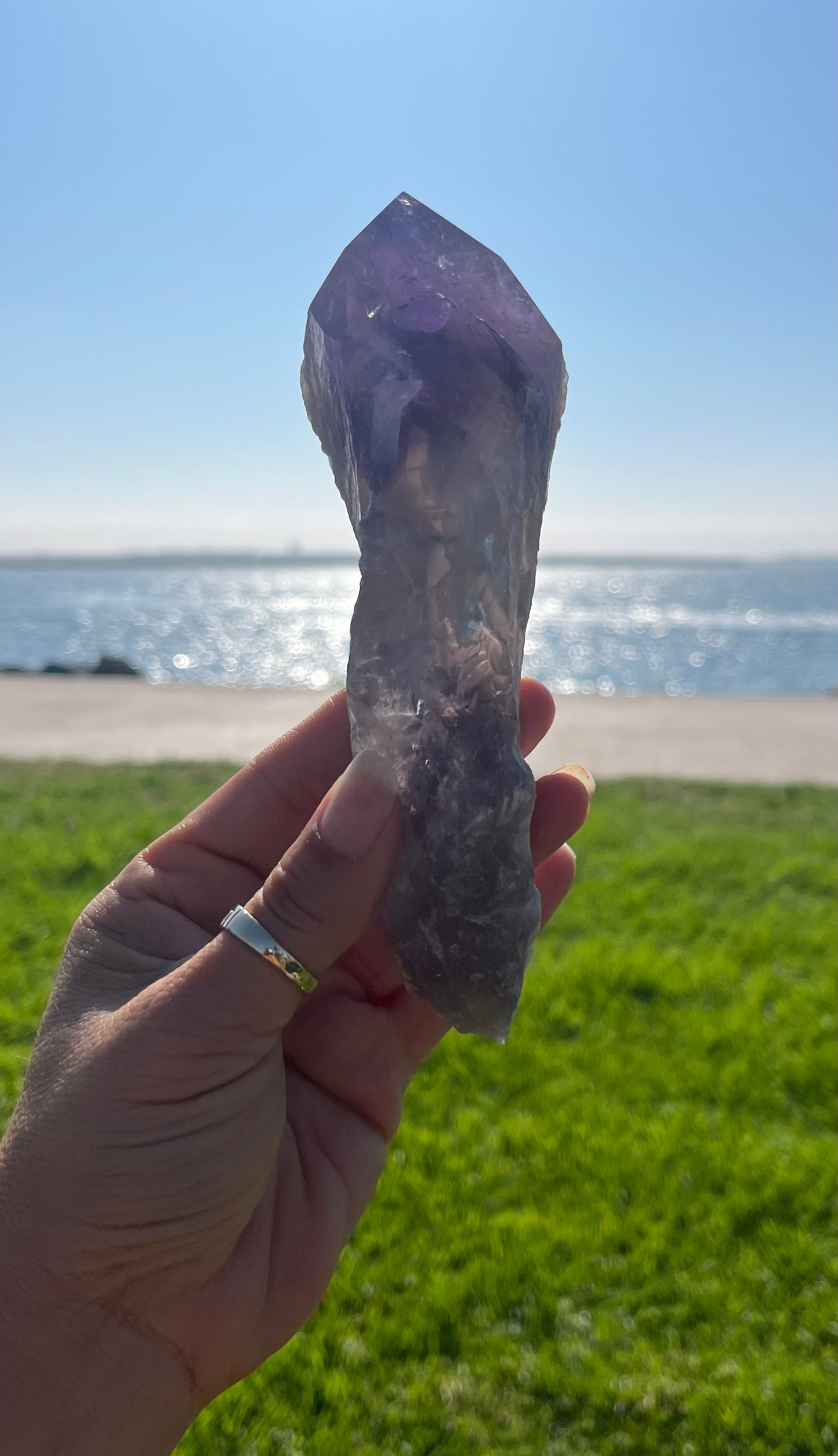 Amethyst Stem from Bahia with Phantom Inclusions