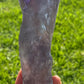 Amethyst Stem from Bahia with Phantom Inclusions