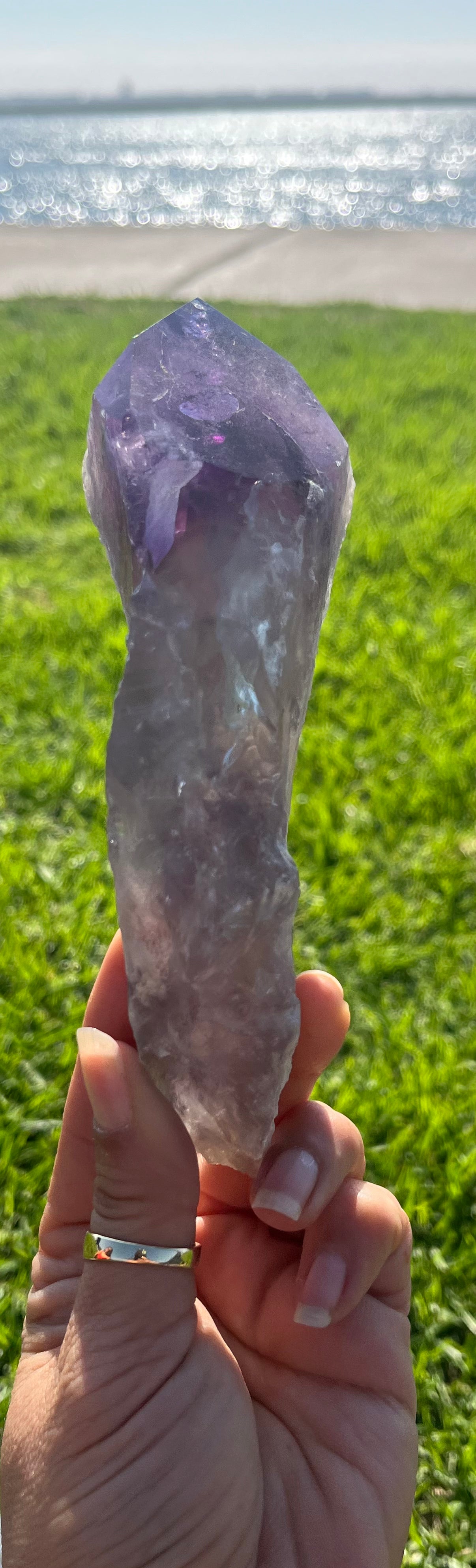 Amethyst Stem from Bahia with Phantom Inclusions