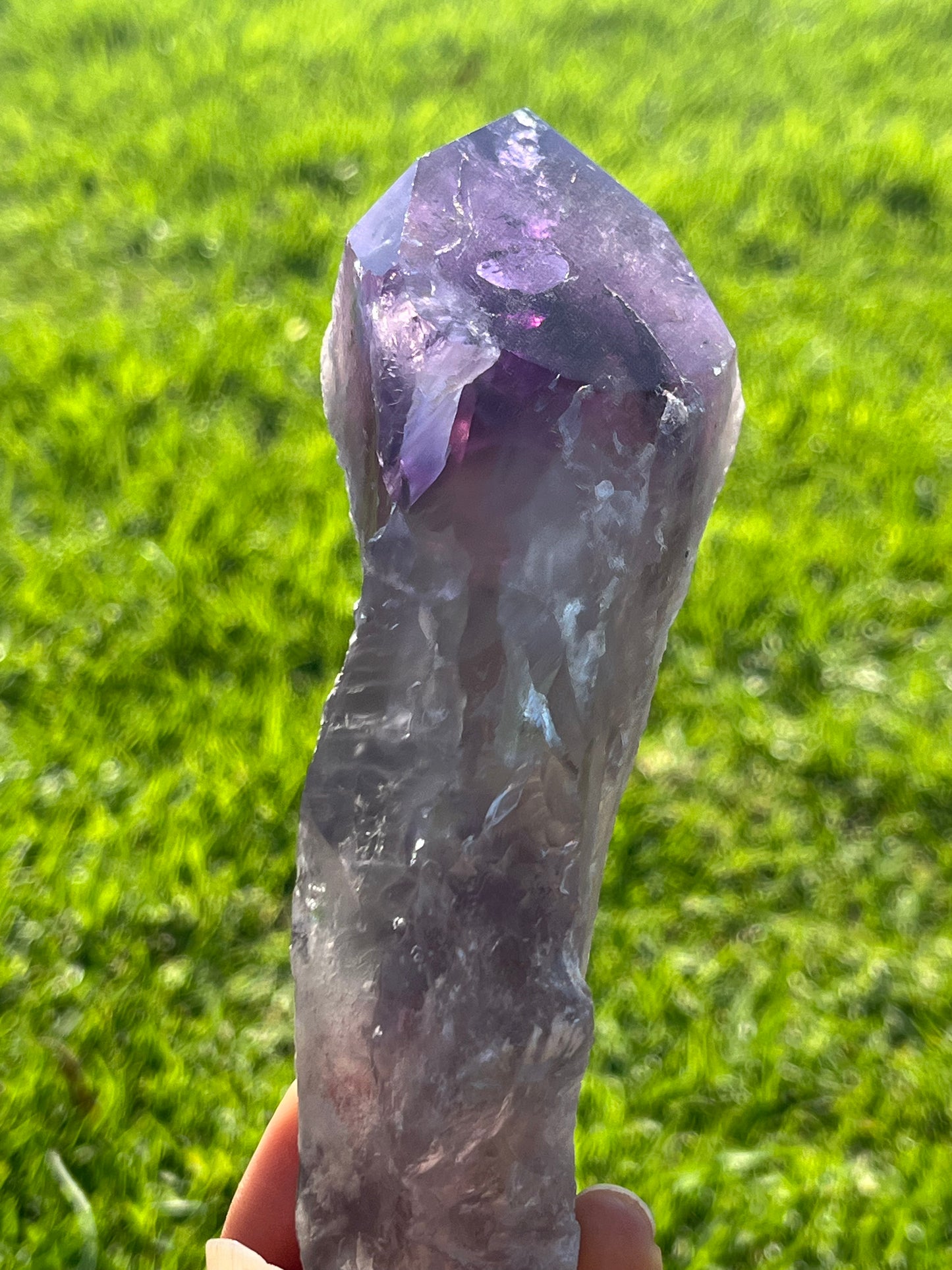 Amethyst Stem from Bahia with Phantom Inclusions