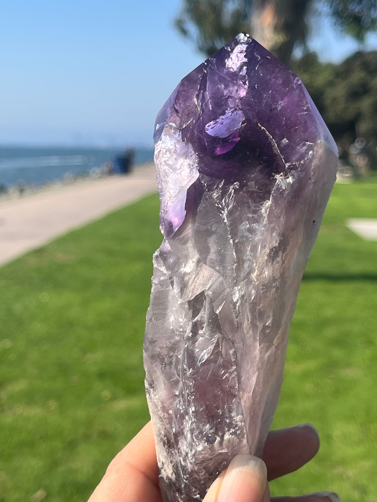 Amethyst Stem from Bahia with Phantom Inclusions