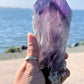 Bolivian Amethyst Stem