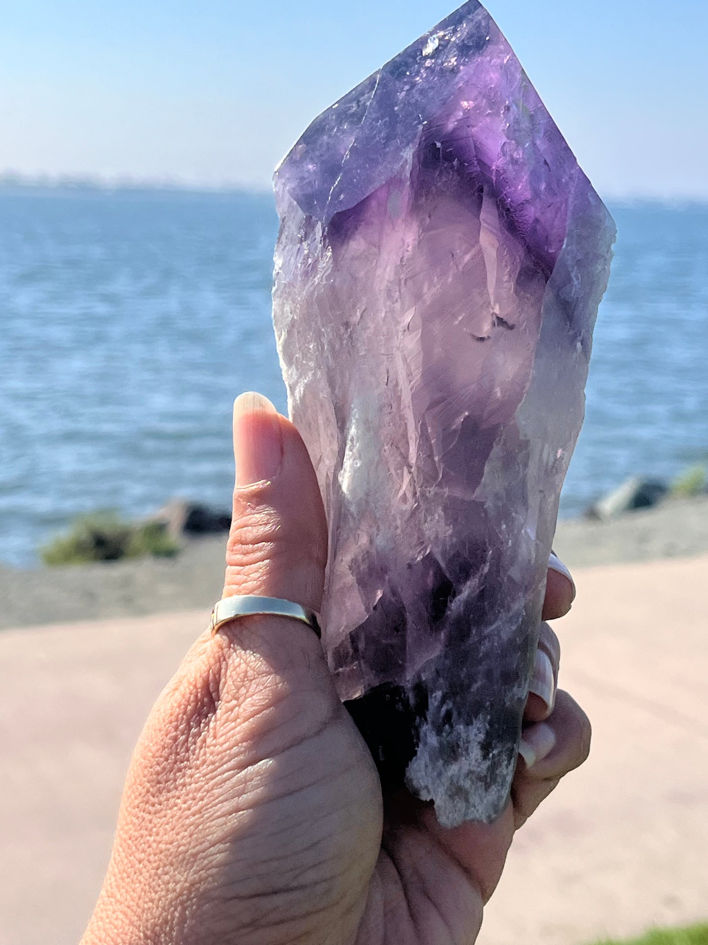 Bolivian Amethyst Stem