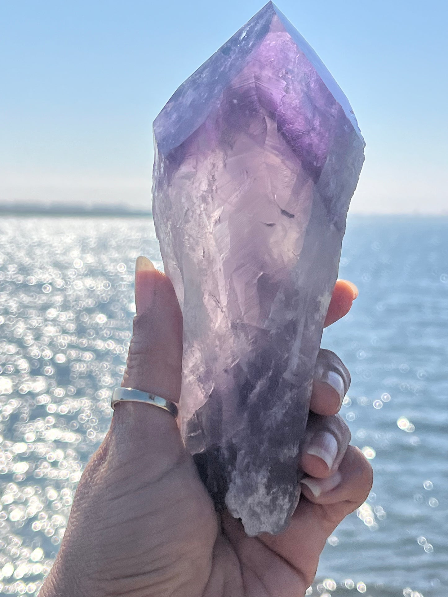 Bolivian Amethyst Stem