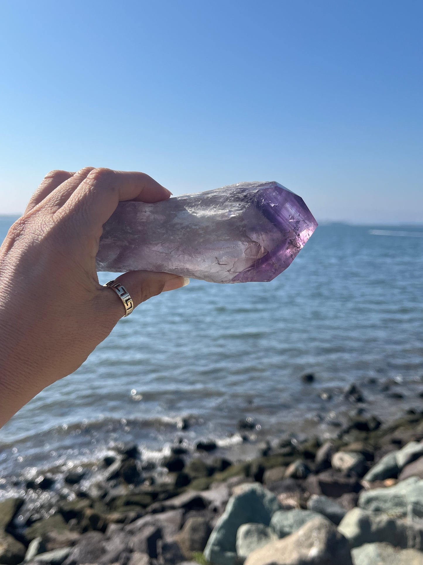 Bolivian Amethyst Stem