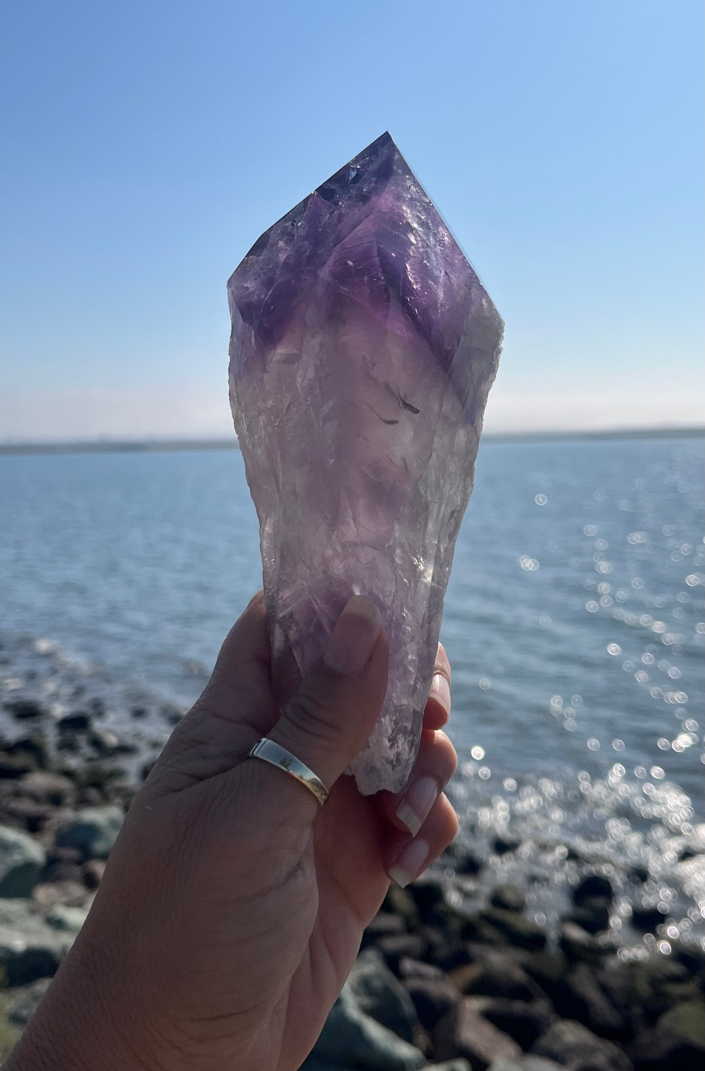 Bolivian Amethyst Stem