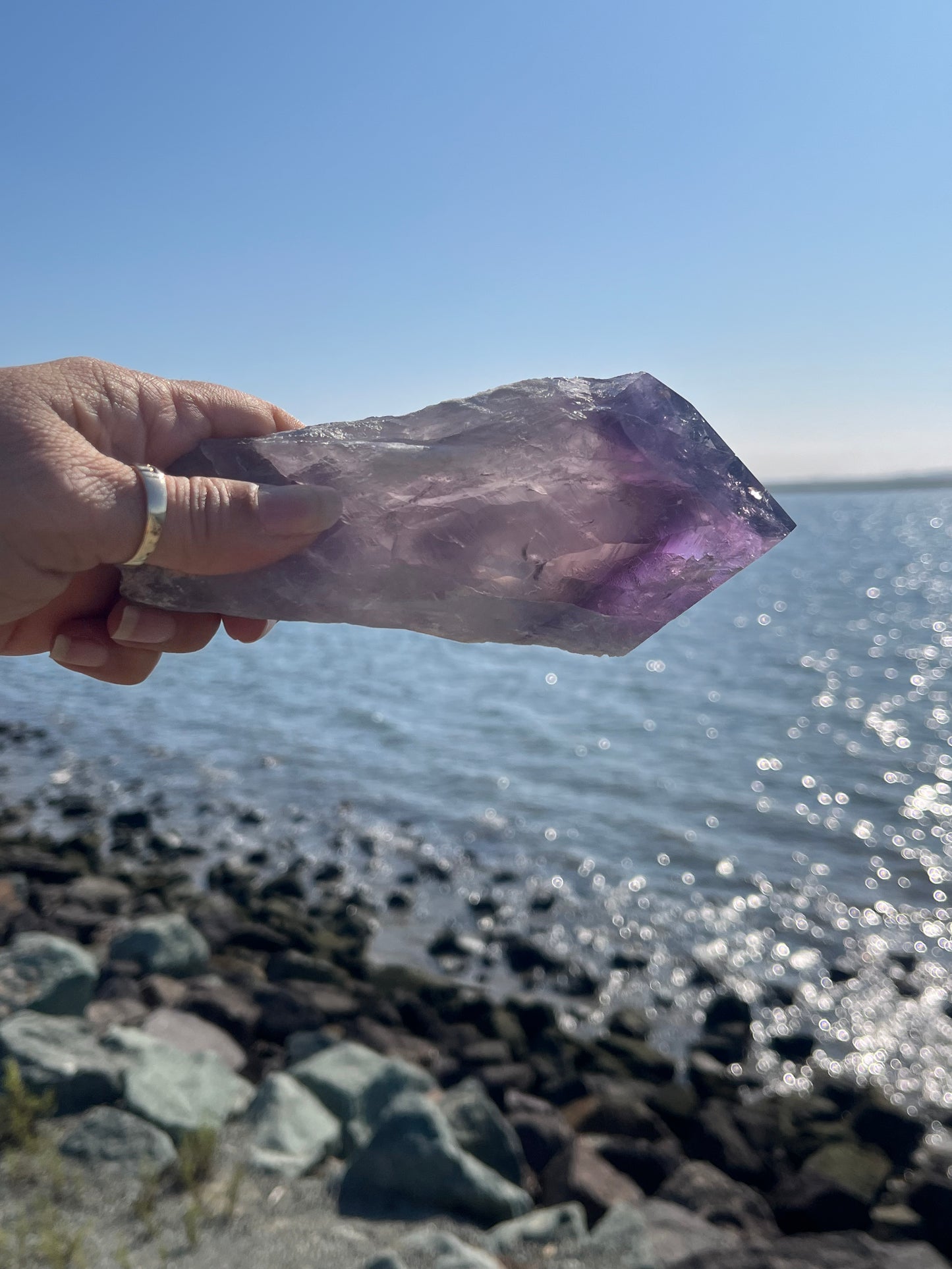 Bolivian Amethyst Stem