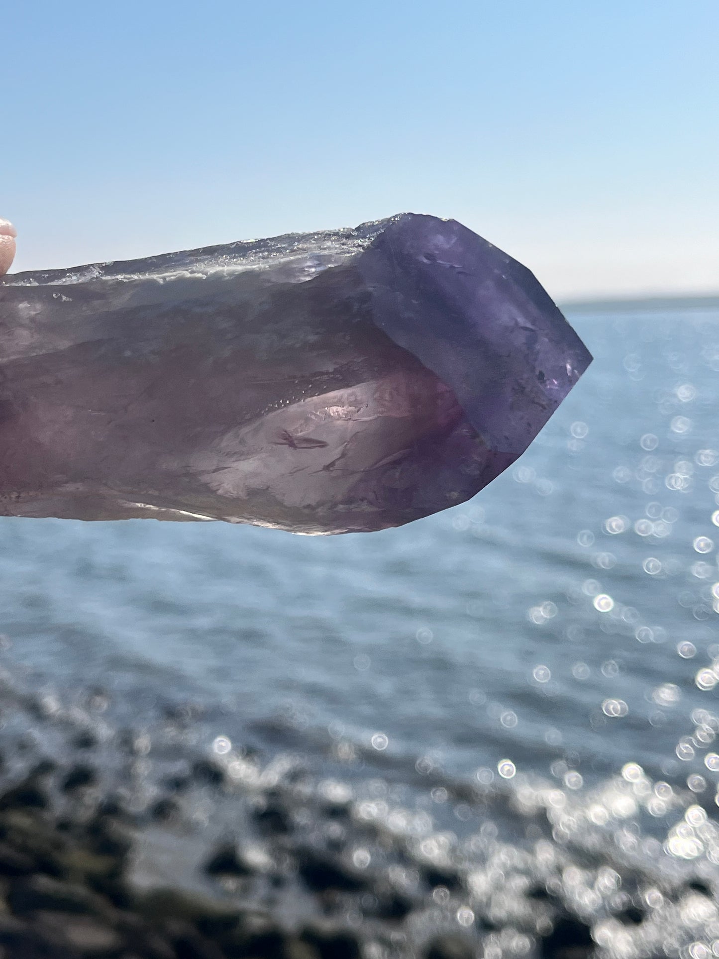 Bolivian Amethyst Stem