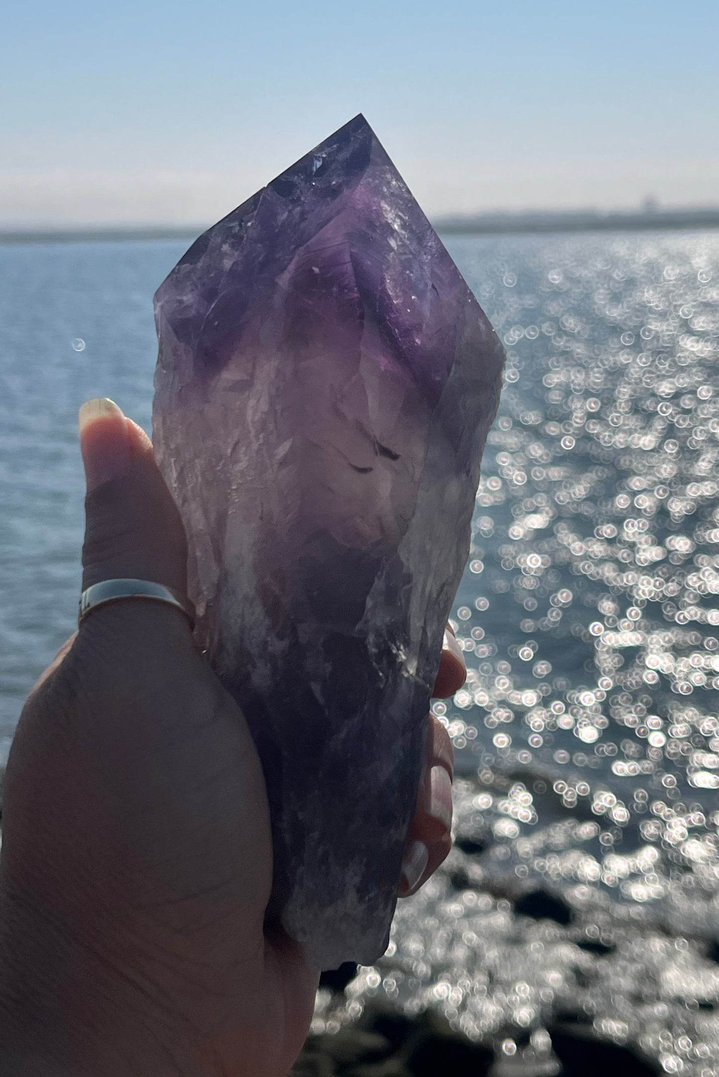 Bolivian Amethyst Stem