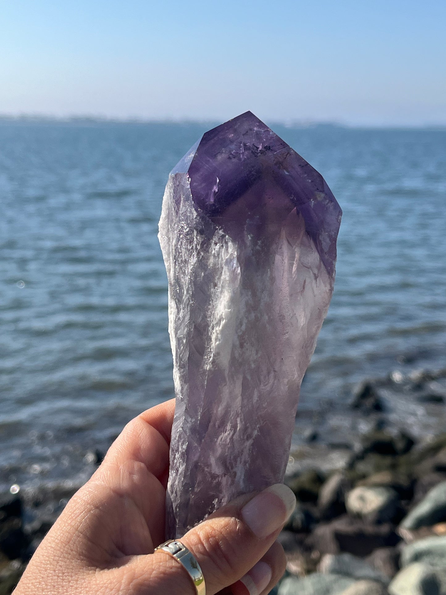 Bolivian Amethyst Stem