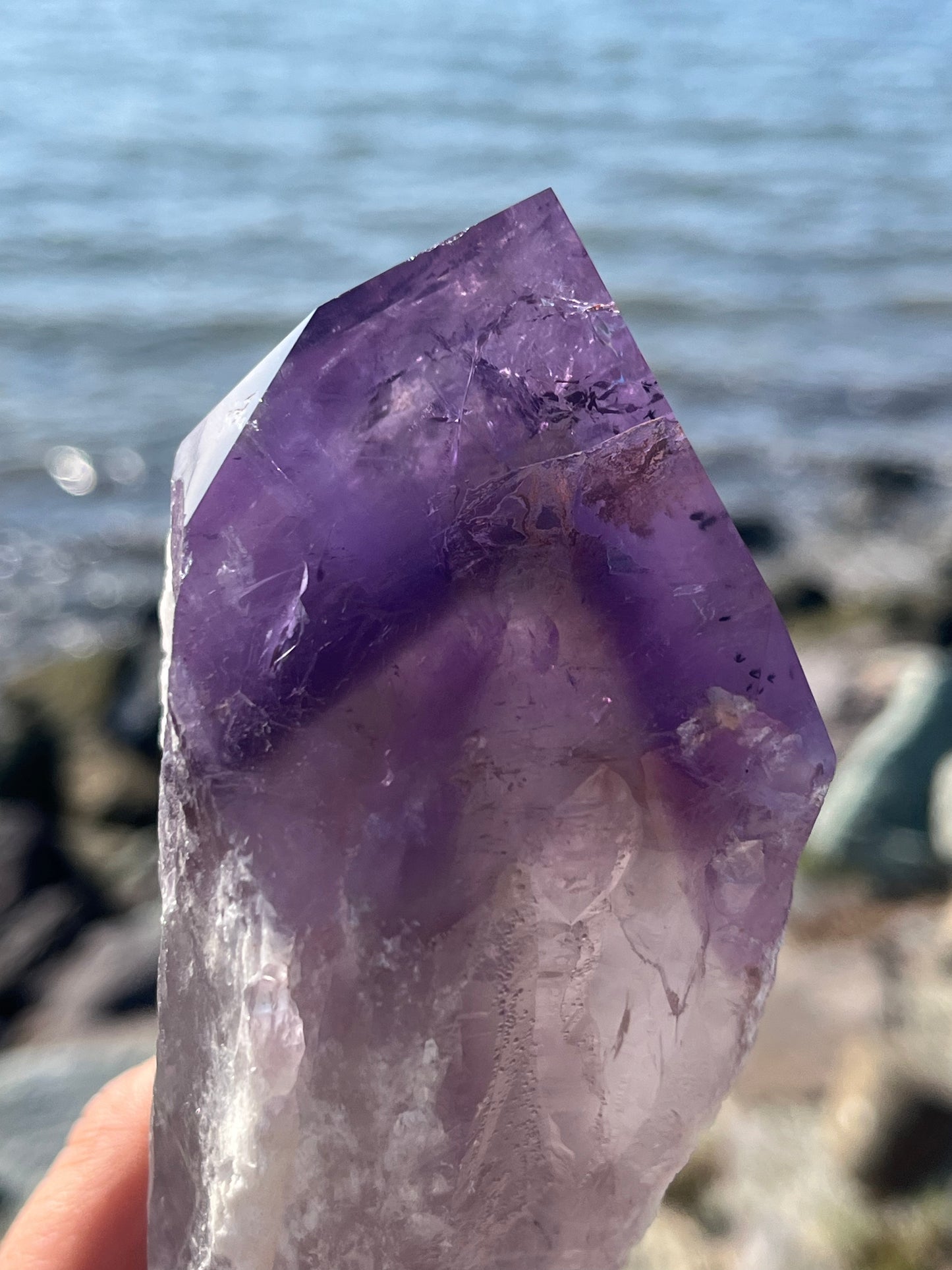 Bolivian Amethyst Stem