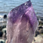 Bolivian Amethyst Stem