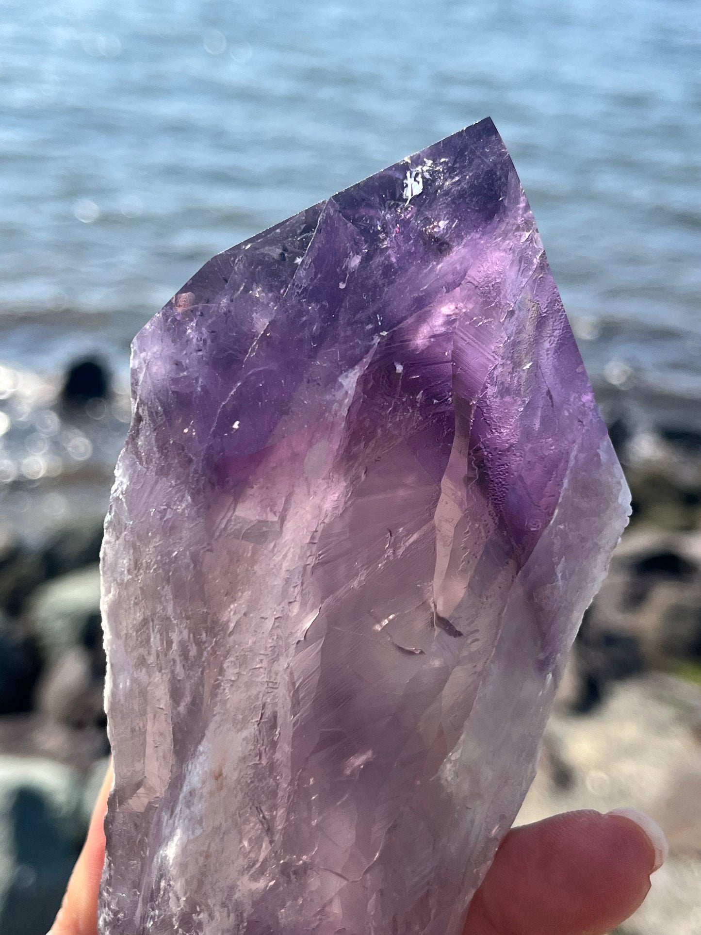 Bolivian Amethyst Stem