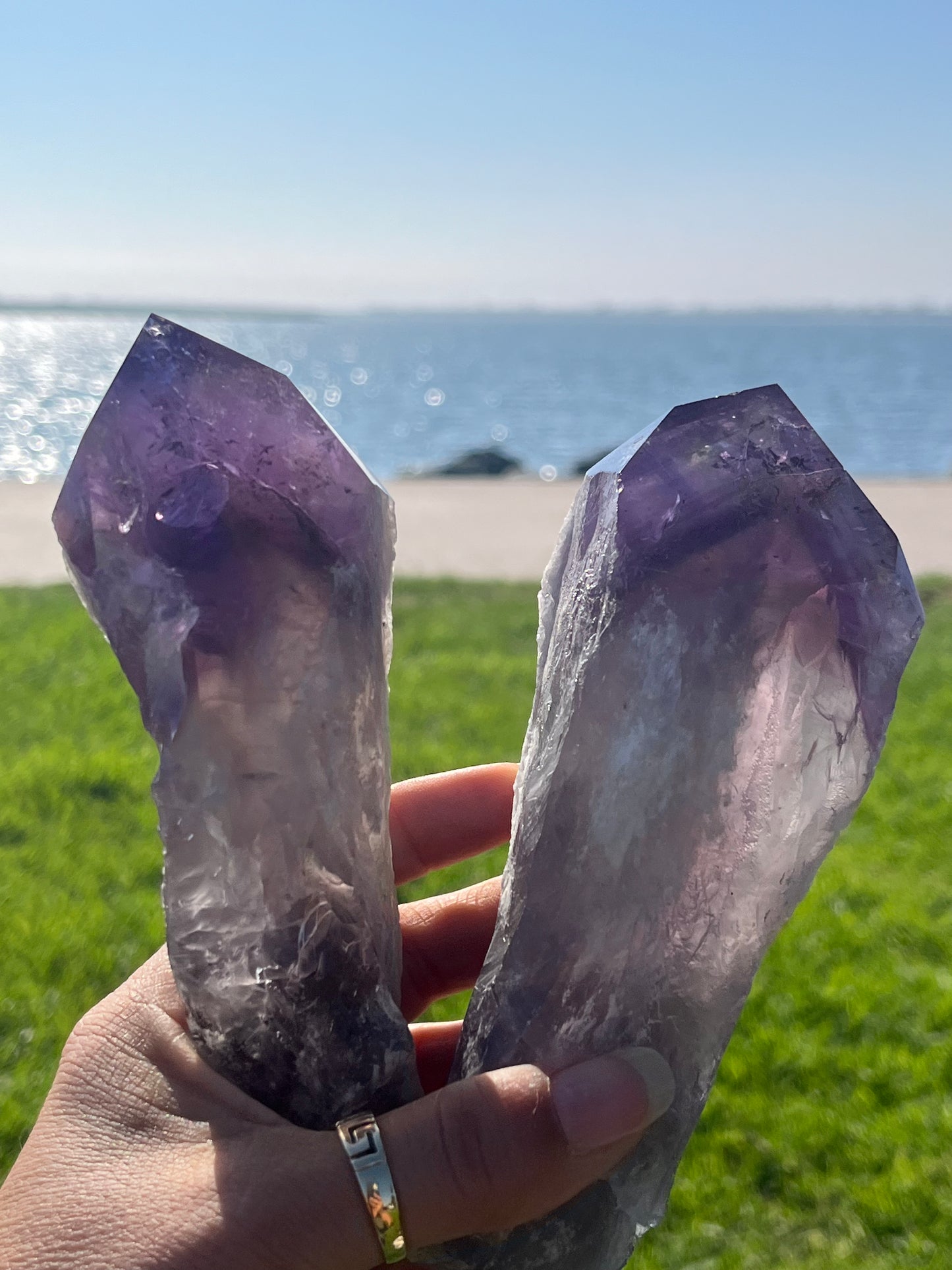 Amethyst Stem from Bahia with Phantom Inclusions