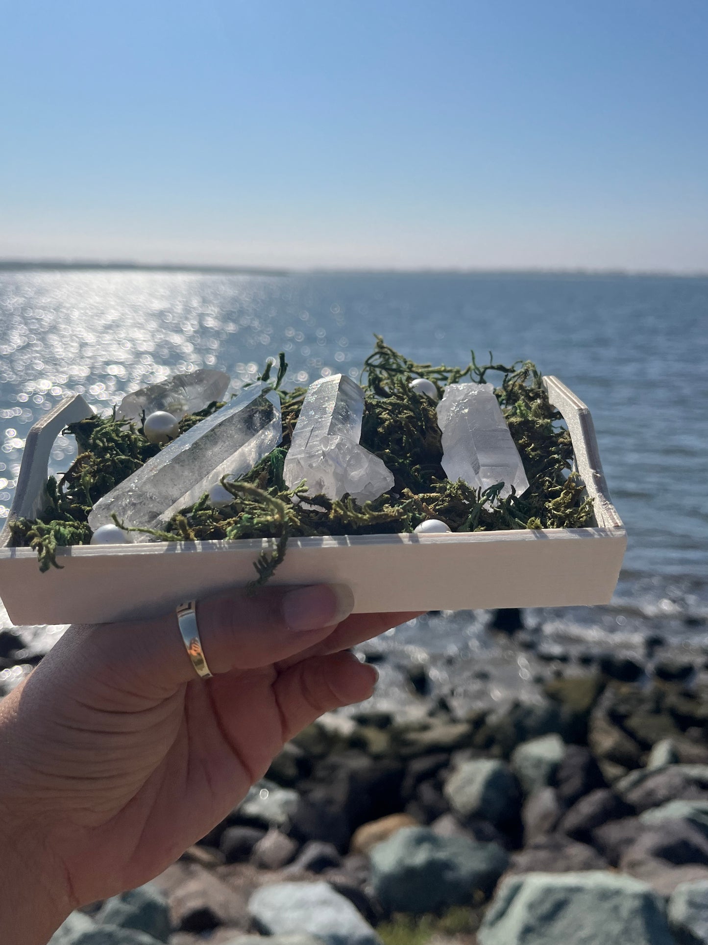 Lemurian Seed Crystal Points