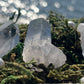 Lemurian Seed Crystal Points