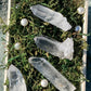 Lemurian Seed Crystal Points