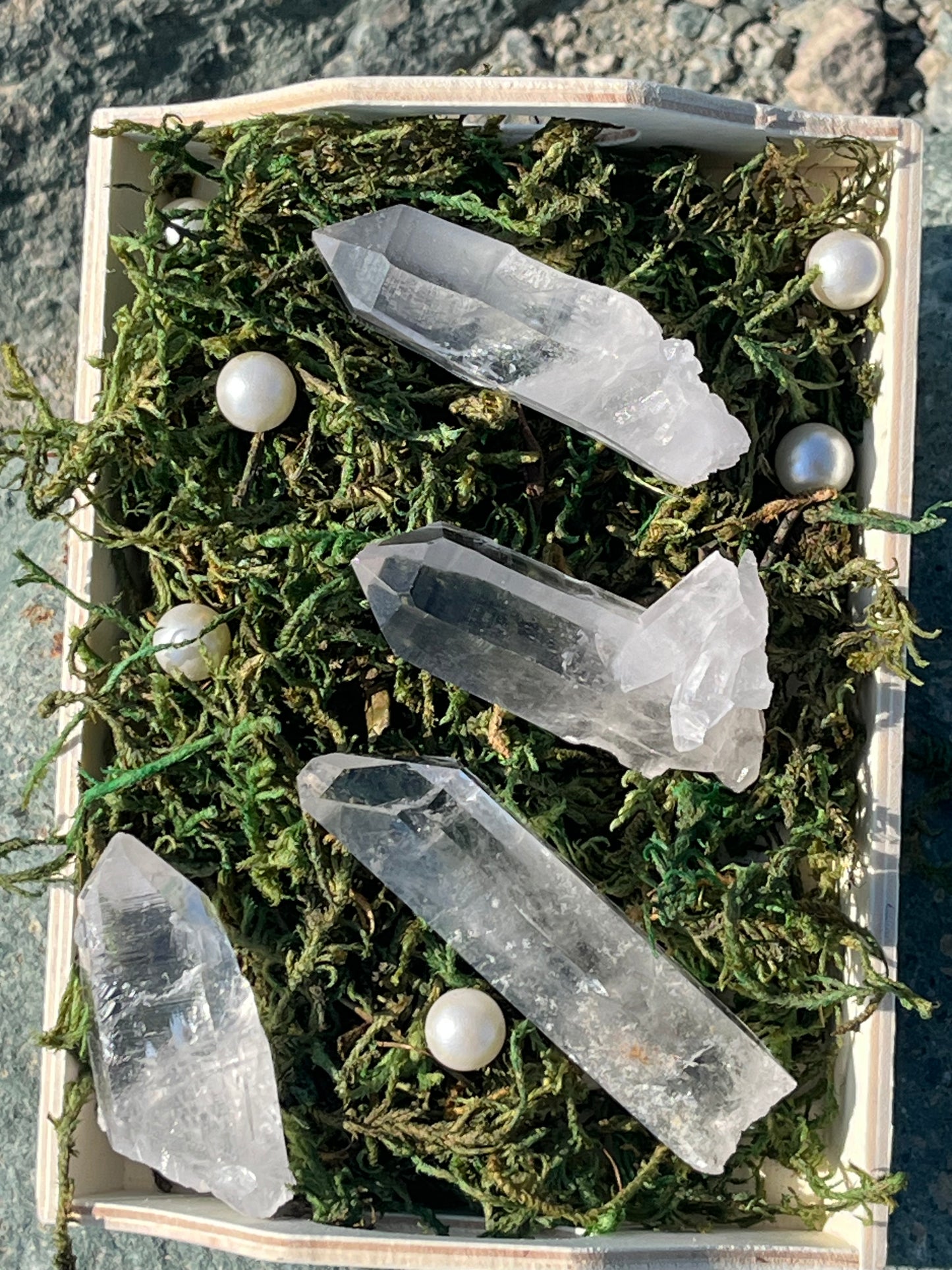 Lemurian Seed Crystal Points