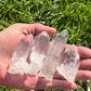 Lemurian Seed Crystal Points