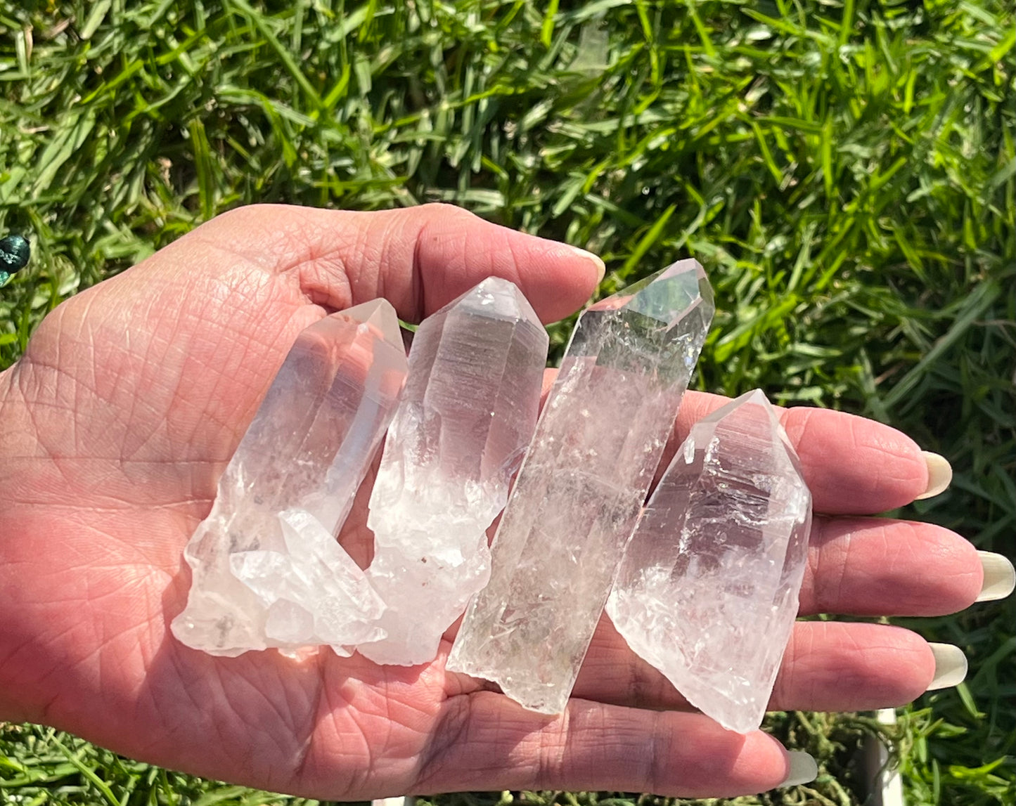 Lemurian Seed Crystal Points