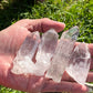 Lemurian Seed Crystal Points