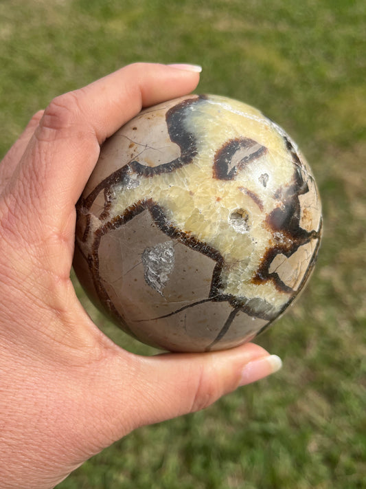 Septarian Sphere (LG)