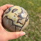 Septarian Sphere (LG)