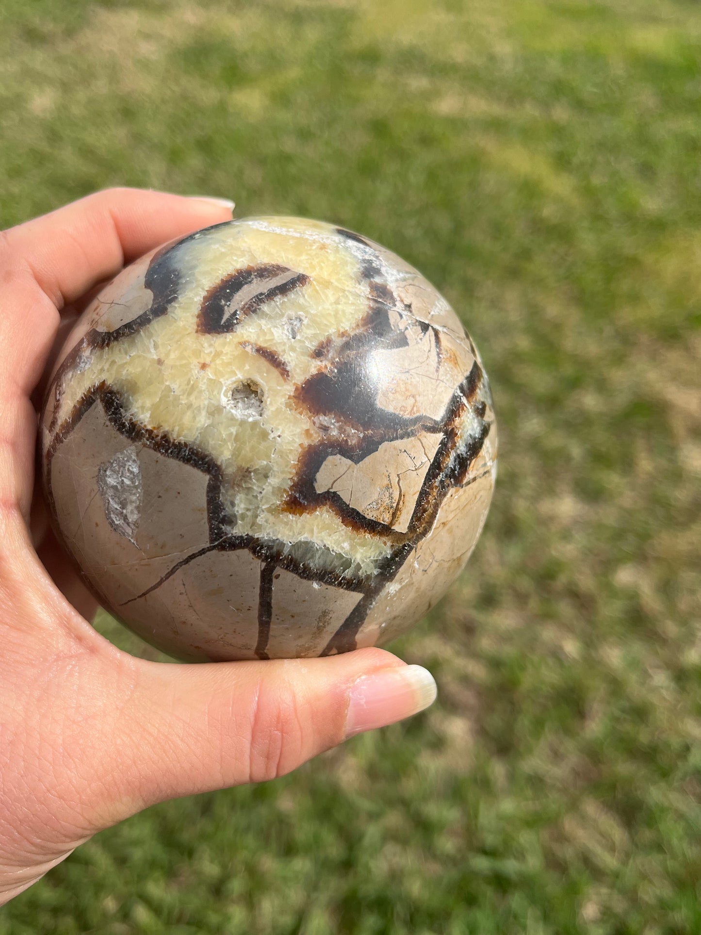 Septarian Sphere (LG)