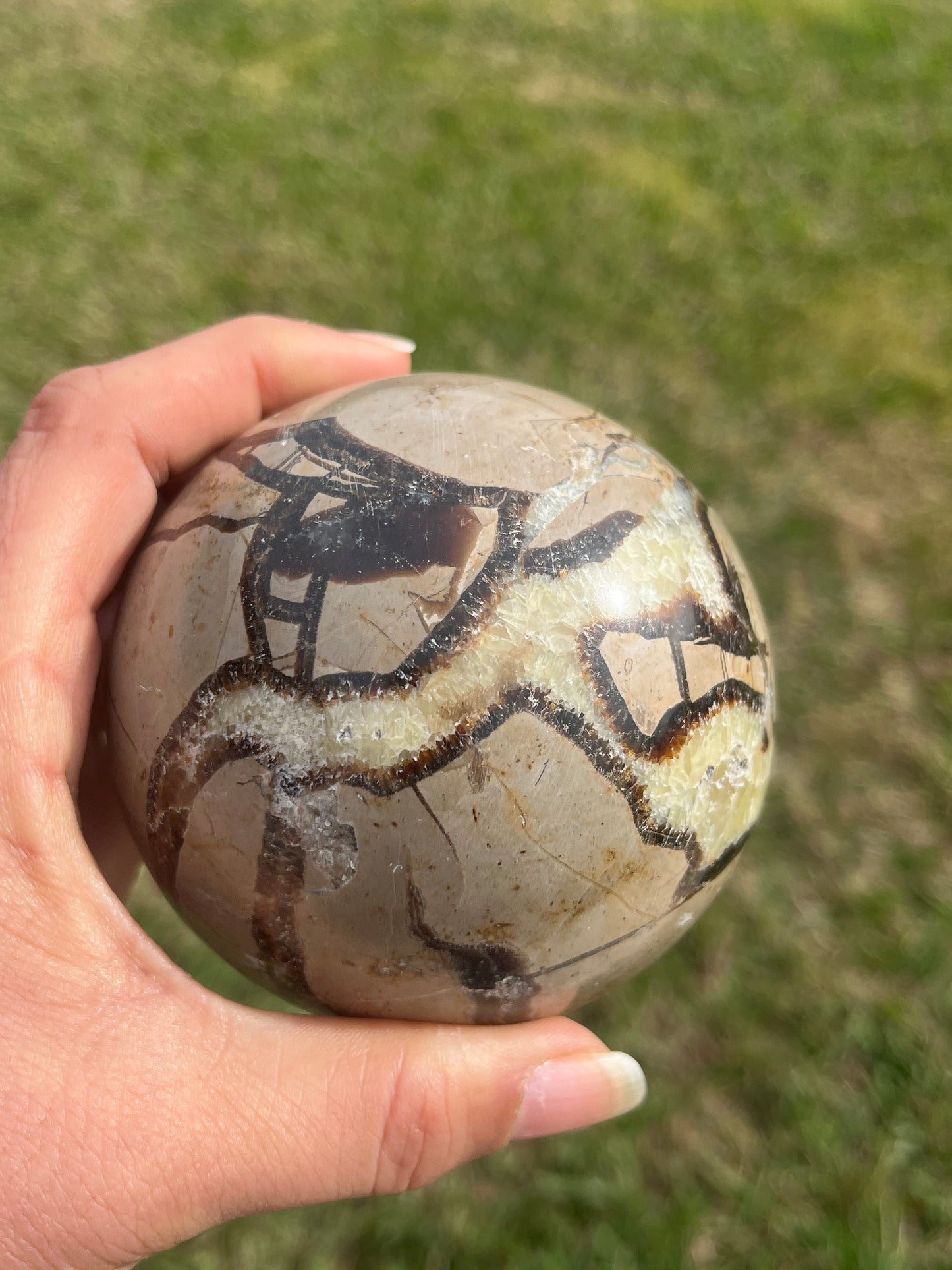 Septarian Sphere (LG)