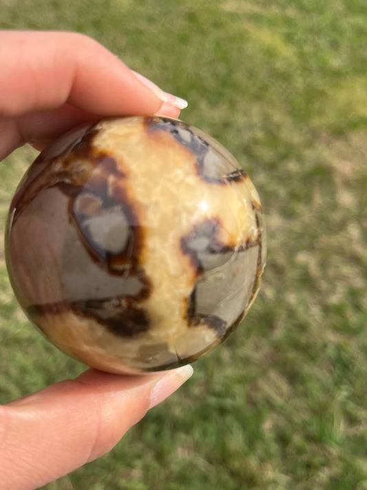 Septarian Sphere (SM)