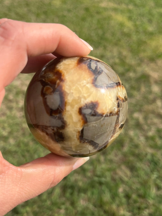 Septarian Sphere (SM)